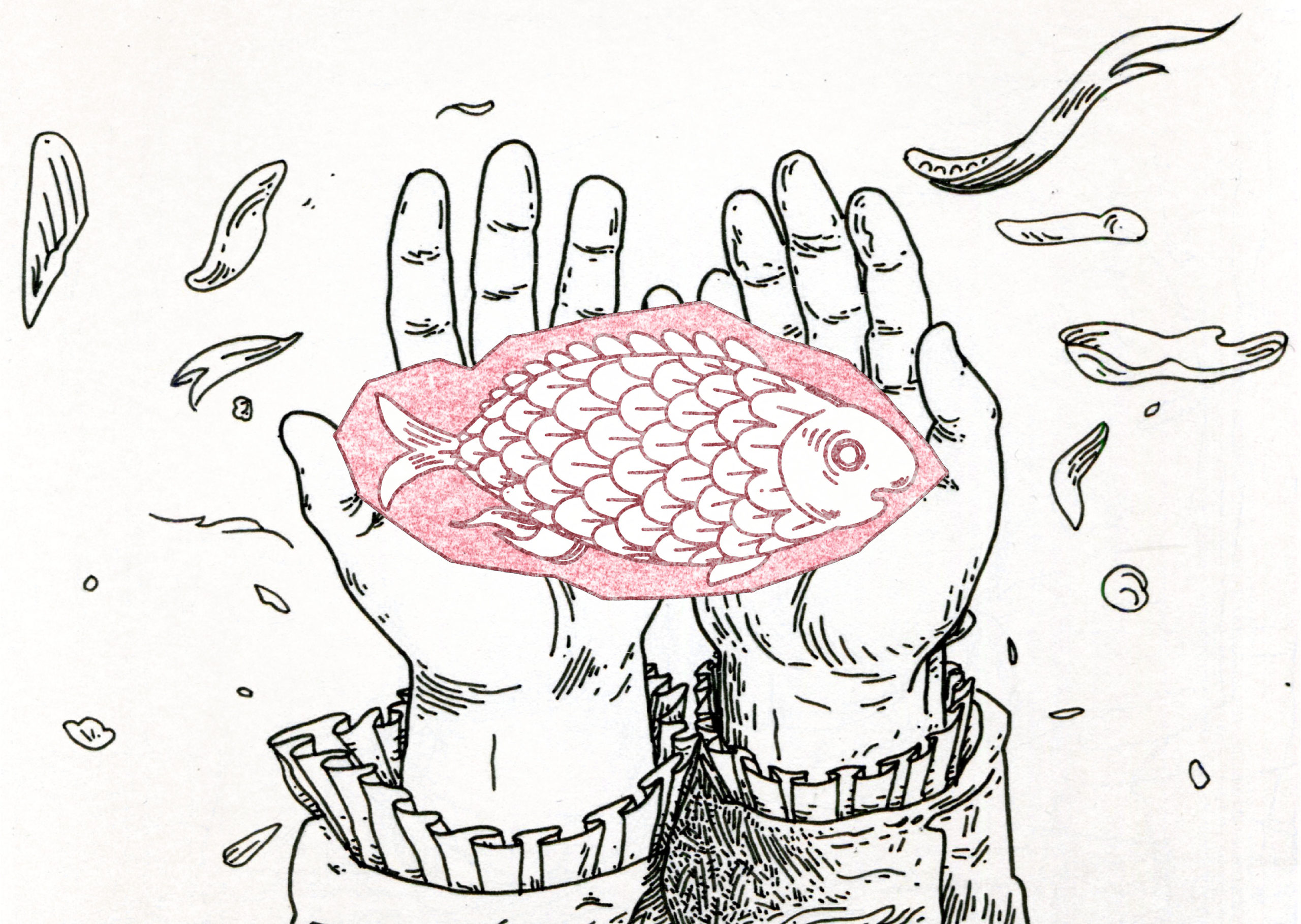 Alix Pentecost-Farren illustration
