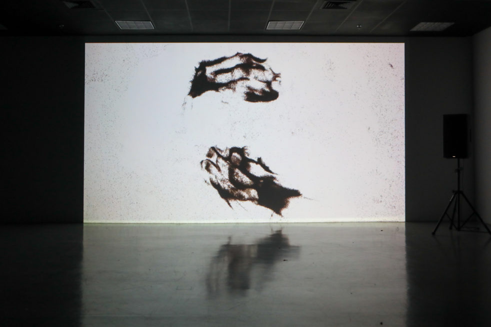 A large-scale projection of abstract imagery on a gallery wall.