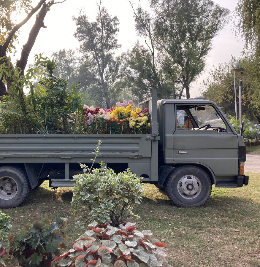 Pickup truck with flowers in bed