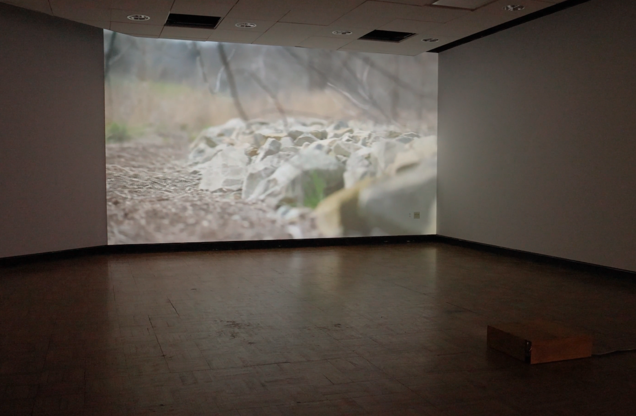 A projected image on a wall that looks like a closeup on some rocks on the ground.